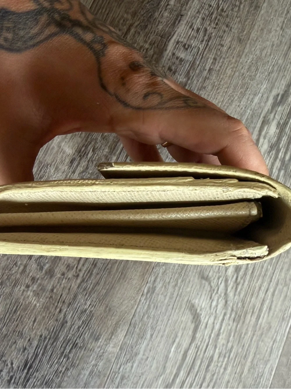 Louis Vuitton authentic louis